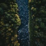 tom ohlin fexfdfmxnmu unsplash